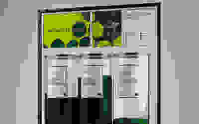 collect green tokens