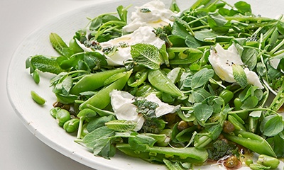 Image of Spring salad with mint and burrata