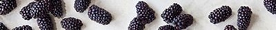 Image of blackberries
