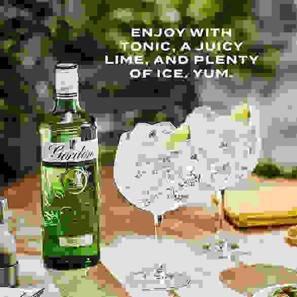 Gordon's London Dry Gin 1litre