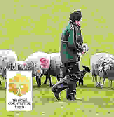 Rural com