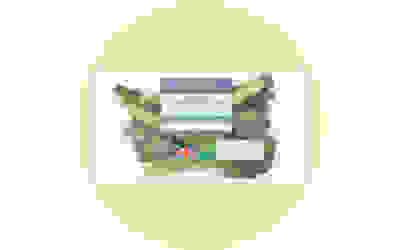 Purple Sprouting Broccoli Spears