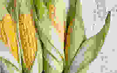 Sweetcorn recipes
