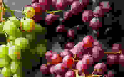 Grapes recipes collection
