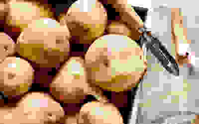 Potato recipes collection