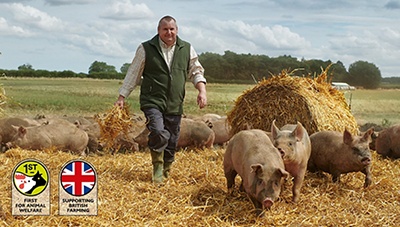 Can pig farmers be paid fairly?