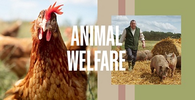 Animal Welfare | Waitrose & Partners | Waitrose & Partners