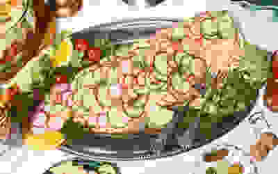 Disco salmon