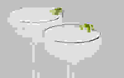 yuzu
