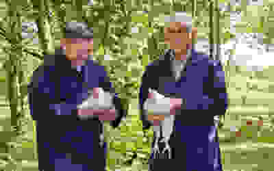 Good farming