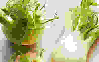 Fennel recipes