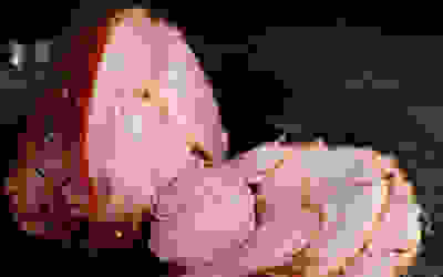 Gammon guide