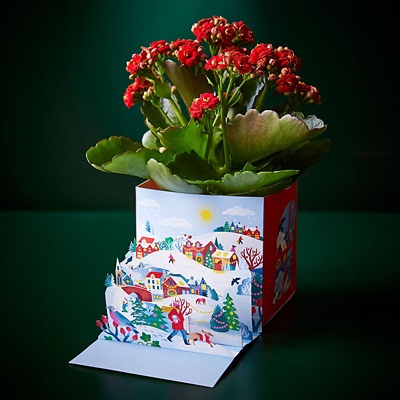 Flowering Gift Card Box