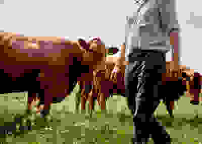 Doing things the right way 