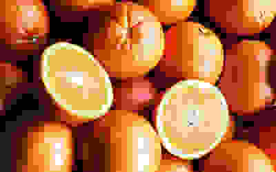 Orange recipe collection