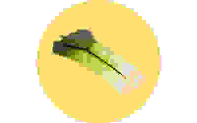 Essential Leeks
