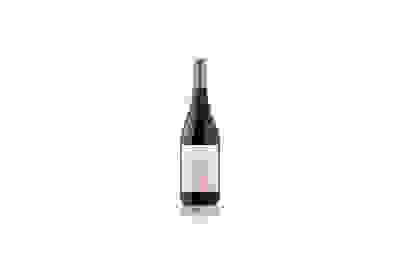 McGuigan Family Release Shiraz