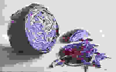 Red cabbage recipes