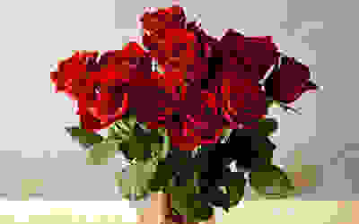 Roses