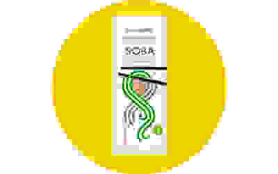 Clearspring Organic Buckwheat Soba 