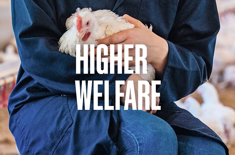 Higher welfare