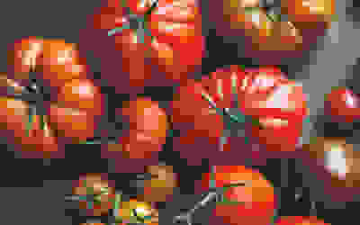 Tomato recipes