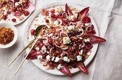 Chicory, cranberry & goat's cheese salad