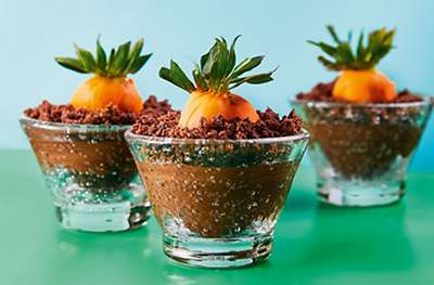 Chocolate & strawberry carrot patch pots