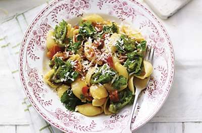 Conchiglie pasta with flower sprouts & chorizo