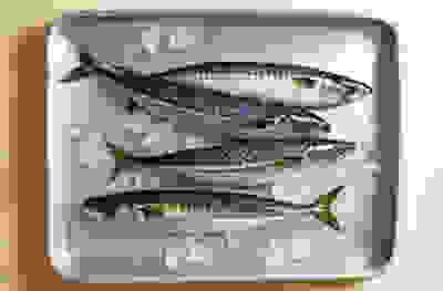 Mackerel recipes