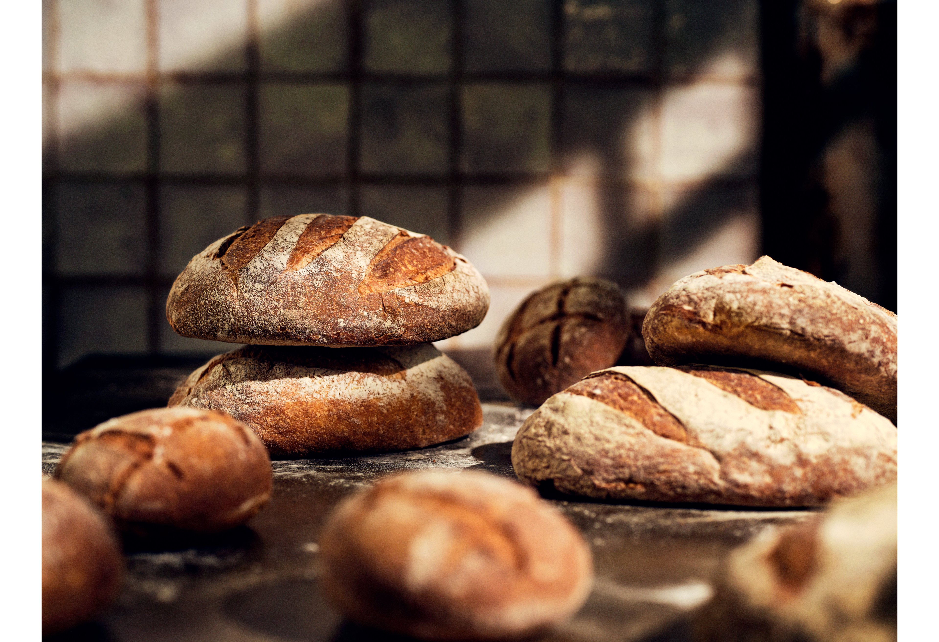 A selection of breads