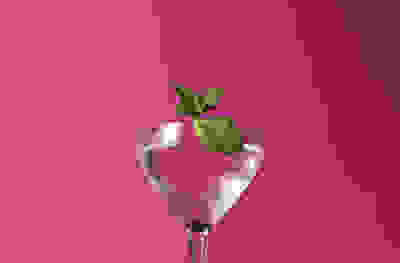 Elderflower & mint martini