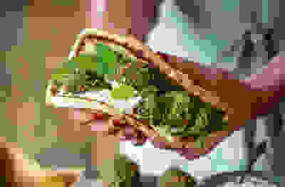 Green falafel