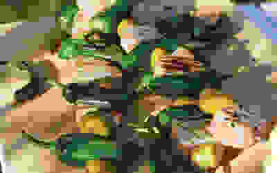 Grill-das