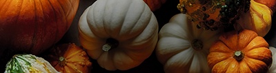 Image of a selection of pumpkins - Halloween pumpkin ideas