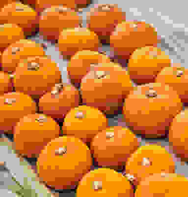 Image of pumpkins lined in a field