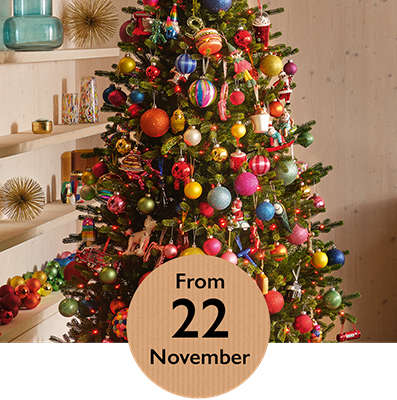 SPRUCE THINGS UP | From 22 November