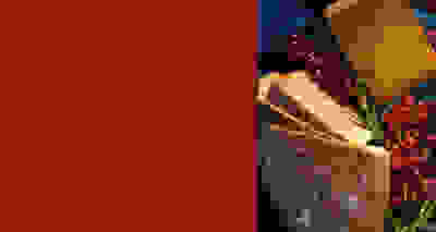 Up to 20% festive cheese