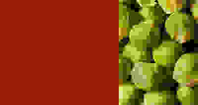 ONLY 30P - Christmas veg