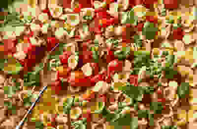 Slow roast tomato & basil pasta