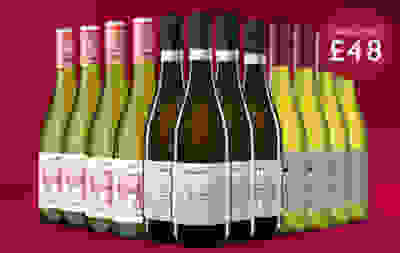 Save up to £48 | Summer mixed wine cases