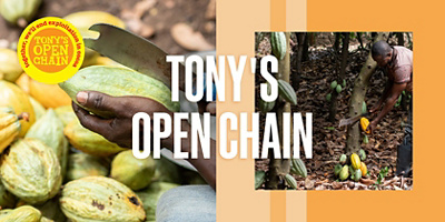 Tony's Open Chain
