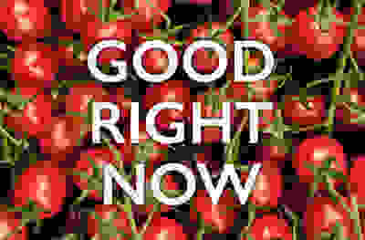 Good right now - British Tomatoes