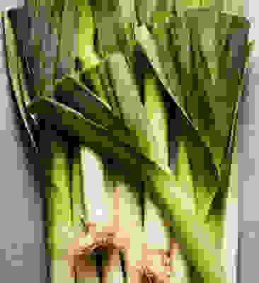 In season now - Leeks