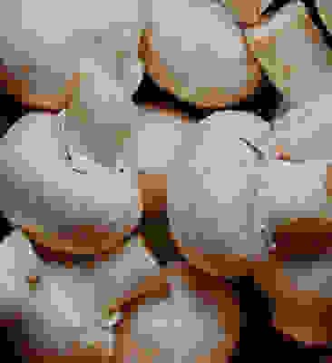 In season now - Apples