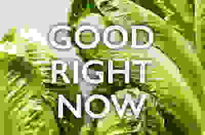 GOOD RIGHT NOW - British lettuce
