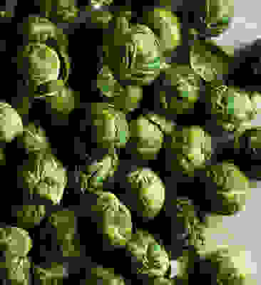 In season now - Brussels sprouts