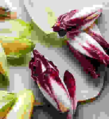 In season now - Chicory