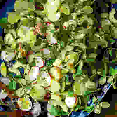 Radish