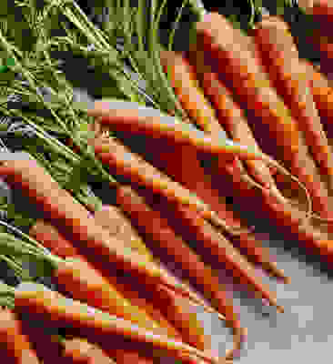 In Season September